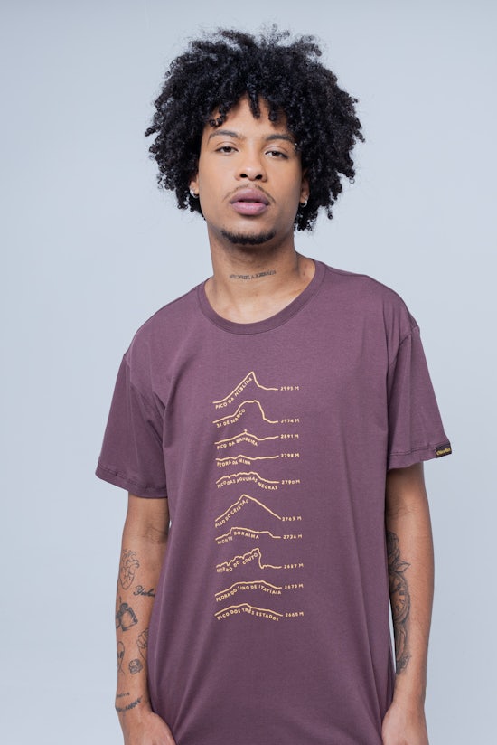 Camiseta Picos do Brasil