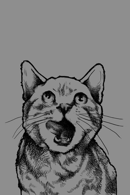 Estampa Moletom Infantil Instinto Felino